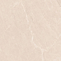 N20554 Persian Beige Matt 60x120 Neodom