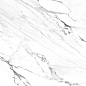 GP40PEG15R Pegas Silver Sugar 60x60 AltaCera